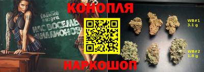 a pvp Моздок