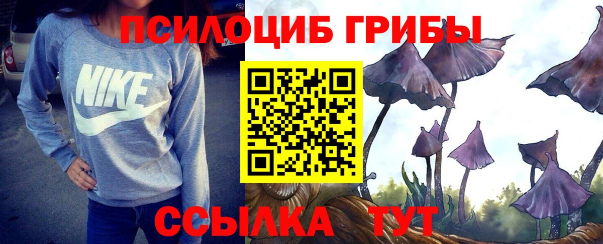 Галлюциногенные грибы мицелий  Псилоцибиновые грибы Magic Shrooms  Тольятти  Вход с VPN 